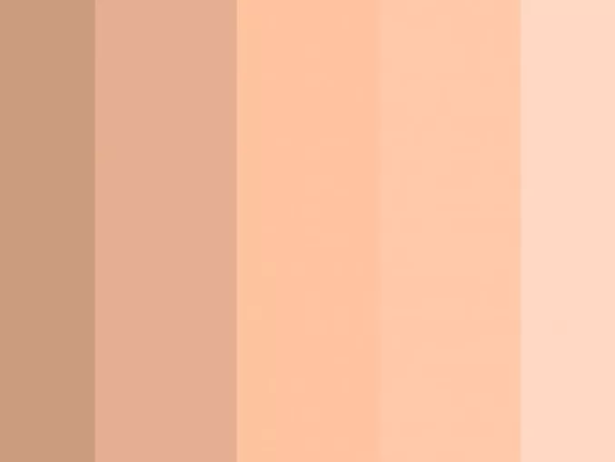 Màu Nude Là Màu Gì Ứng Dụng Màu Nude Trong Cuộc Sống 5S Fashion 5SFASHION