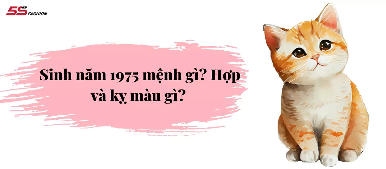 1975-mac-gi-hop-menh