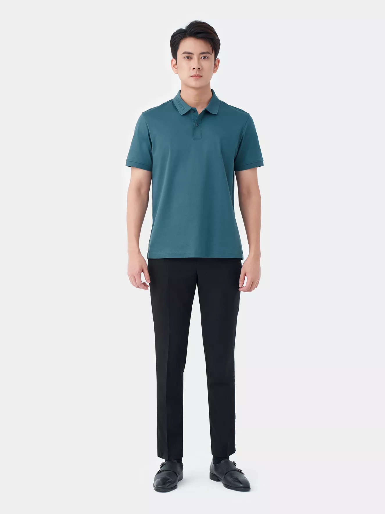 Áo Polo Nam 5S Fashion Cotton Premium Regular APC24011