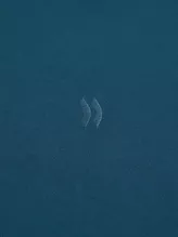 Set Bộ Nỉ Nam PERATO Phong Cách Thể Thao Training TBNW5M010