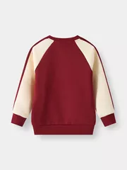 Áo Nỉ Bé Trai 5S Fashion Tay Raglan Can Phối In Cá Tính B0ANI25002