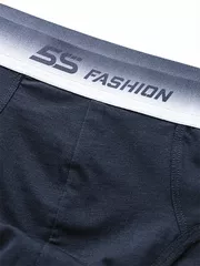 Quần Lót Nam Brief 5S Fashion Modal Slimfit BRF25001