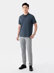 Áo Polo Nam 5S Fashion Classic Regular APC24008