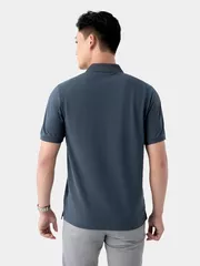 Áo Polo Nam 5S Fashion Classic Regular APC24008