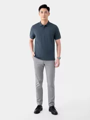 Áo Polo Nam 5S Fashion Classic Regular APC24008