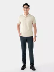 Áo Polo Nam 5S Fashion In Tràn APC24028