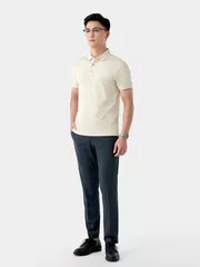 Áo Polo Nam 5S Fashion In Tràn APC24028