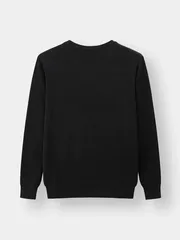 Áo Len Trơn Nam 5S Fashion Slim Fit ALO23004