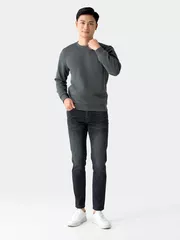 Áo Nỉ Nam Thu Đông 5S Fashion Trơn Basic Phom Slimfit ANI24027