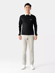 Áo Polo Nam Cotton Dài Tay Can Phối 5S Fashion Phom Slimfit APD24002