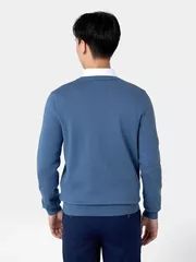 Áo Len Nam Họa Tiết Dệt Trơn Cổ Tròn 5S Fashion ALE24008