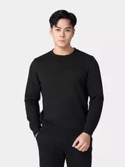 Áo Nỉ Nam Dài Tay 5S Fashion Basic Slimfit BANI24101