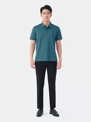 Áo Polo Nam 5S Fashion Cotton Premium Regular APC24011
