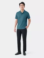 Áo Polo Nam 5S Fashion Cotton Premium Regular APC24011
