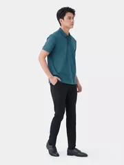 Áo Polo Nam 5S Fashion Cotton Premium Regular APC24011
