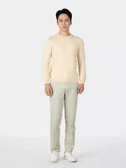 Áo Len Nam Họa Tiết 5S Fashion Phom Slimfit ALE24002