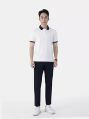 Áo Polo Nam Mix-Color 5S Fashion Phom Slimfit APC25033