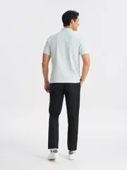 Áo Polo Nam 5S Fashion Trơn Bo Dệt Jacquard Slimfit APC25062