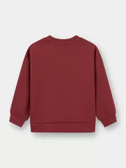 Áo Nỉ Bé Trai Bé Gái 5S Fashion Can Phối In Chữ KBANI25001