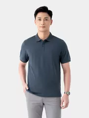 Áo Polo Nam 5S Fashion Classic Regular APC24008