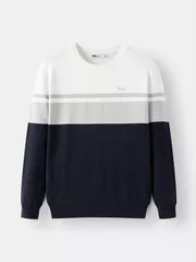 Áo Len Nam Cổ Tròn 5S Fashion Dệt Kẻ Slimfit ALE24006