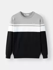 Áo Len Nam Cổ Tròn 5S Fashion Dệt Kẻ Slimfit ALE24006