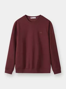 Áo Nỉ Nam 5S Fashion Trơn Thêu Logo Phom Slimfit M0ANI25008