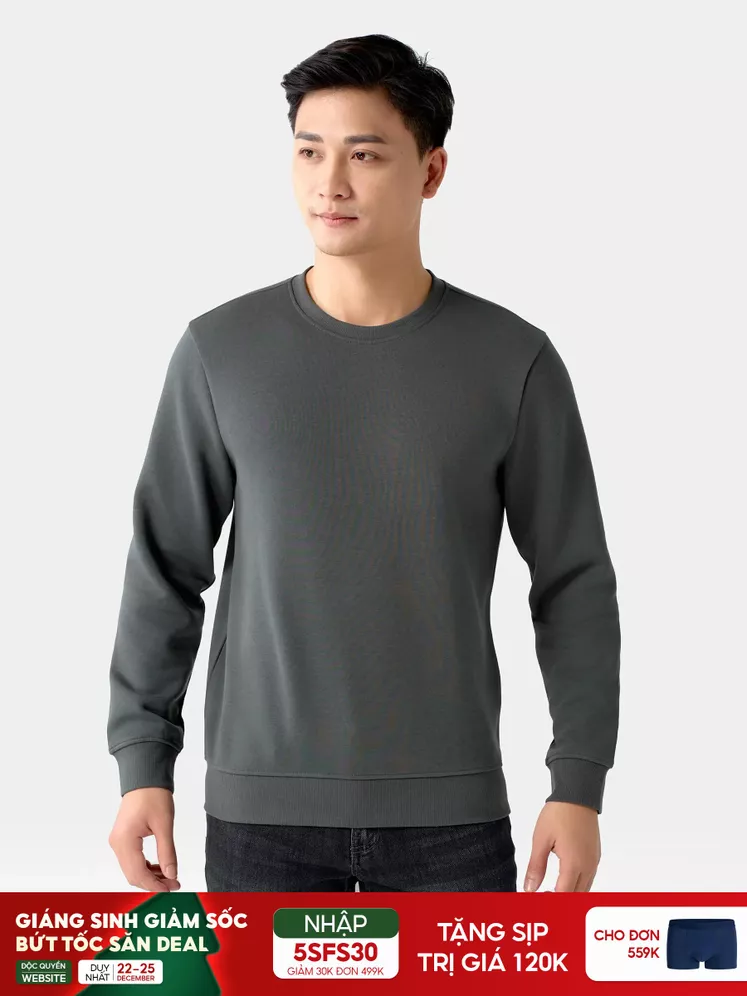 Áo Nỉ Nam Thu Đông 5S Fashion Trơn Basic Phom Slimfit ANI24027